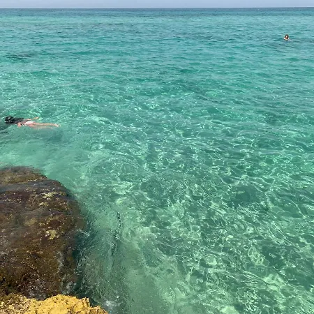 Wepuglia - Martino Seaview *